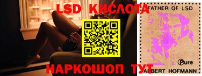 амф Можга