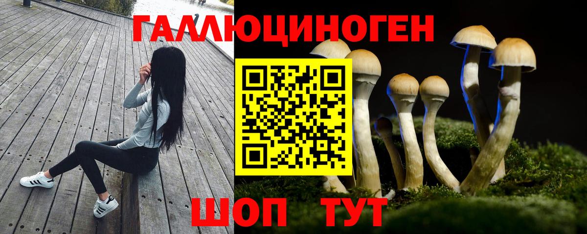 Псилоцибиновые грибы GOLDEN TEACHER  Вход с VPN  Химки 