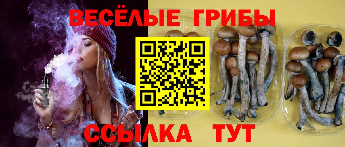 Галлюциногенные грибы GOLDEN TEACHER Химки